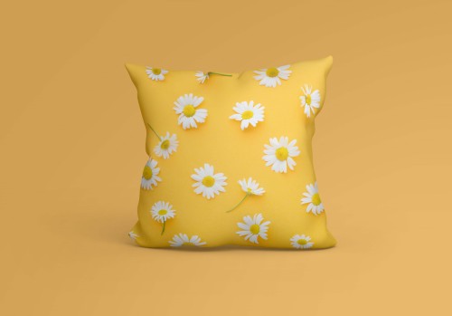 06 - daisies.jpg